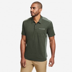 Eddie Bauer Adventurer® Kurzes-Sleeve Polo Hemd Herren Dunkelolivgrün | OJKR-84032