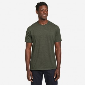 Eddie Bauer Adventurer® Kurzes-Sleeve T-shirts Herren Dunkelolivgrün | SJXT-51906