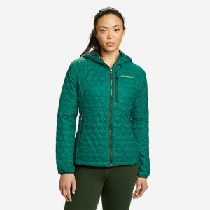 Eddie Bauer Astrolite Mit Kapuze Jacken Damen Mintfarben | TCEP-50938