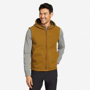 Eddie Bauer Chutes Pro Weste Herren Braun | NAGW-31046