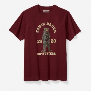 Eddie Bauer EB Academia Bear T-shirts Damen Bordeaux | XTPS-26195