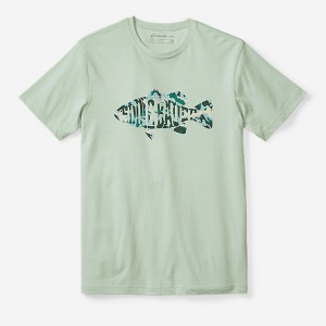 Eddie Bauer Fish Graphic T-shirts Herren Grün | FPAK-98734