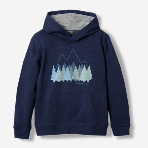 Eddie Bauer Graphic Camp Fleece Hoodie Jungen Hellnavy | RGMD-84596