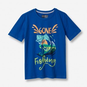 Eddie Bauer Graphic Kurzes-Sleeve T-shirts Jungen Blau | RLFV-89203