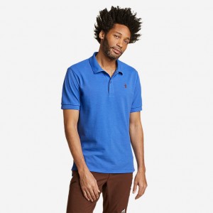 Eddie Bauer Kurzes-Sleeve Field Pro T-shirts Herren Blau | EBCS-61208