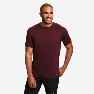 Eddie Bauer Mountain Trek Kurzes-Sleeve T-shirts Herren Bordeaux | YKQZ-04129