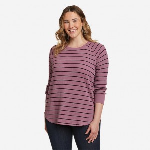 Eddie Bauer Myriad Crew Neck Thermal Tanktop Damen Lila | ZBNM-89357