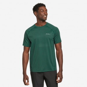 Eddie Bauer Permatrex® Performance Kurzes-Sleeve T-shirts Herren Mintfarben | RAHY-07389