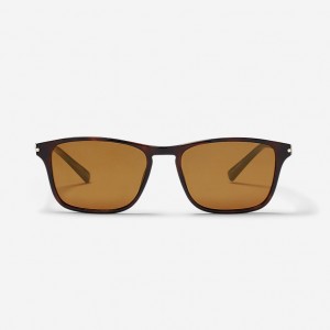 Eddie Bauer Polarized Sonnenbrille Damen Braun | TQCH-41872