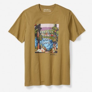 Eddie Bauer Protect What You Love T-shirts Damen Dunkelbraun | YRCL-64019