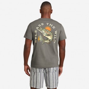 Eddie Bauer Release The Wild Graphic T-shirts Herren Grau | DFQE-46510