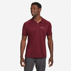 Eddie Bauer Resolution Pro Kurzes-Sleeve Polo 2 T-shirts Herren Bordeaux | RATY-68950