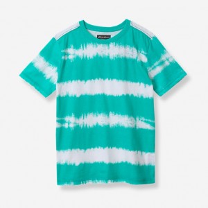 Eddie Bauer Tye Dye Stripes Kurzes-Sleeve T-shirts Jungen Grün | GFNT-05831