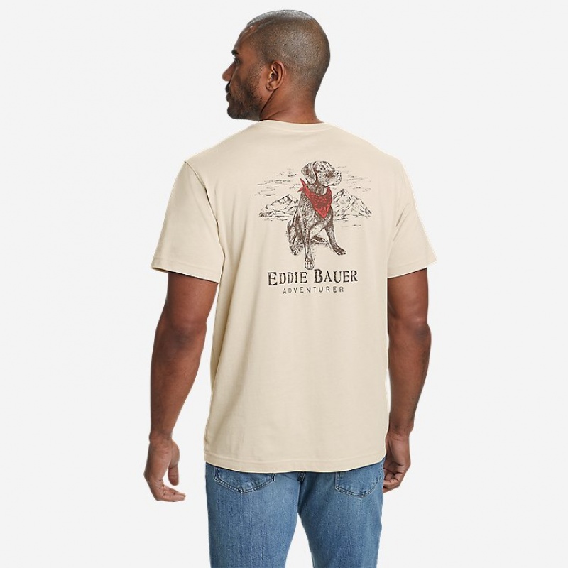 Eddie Bauer Best Friend T-shirts Herren Weiß | WRMD-60195