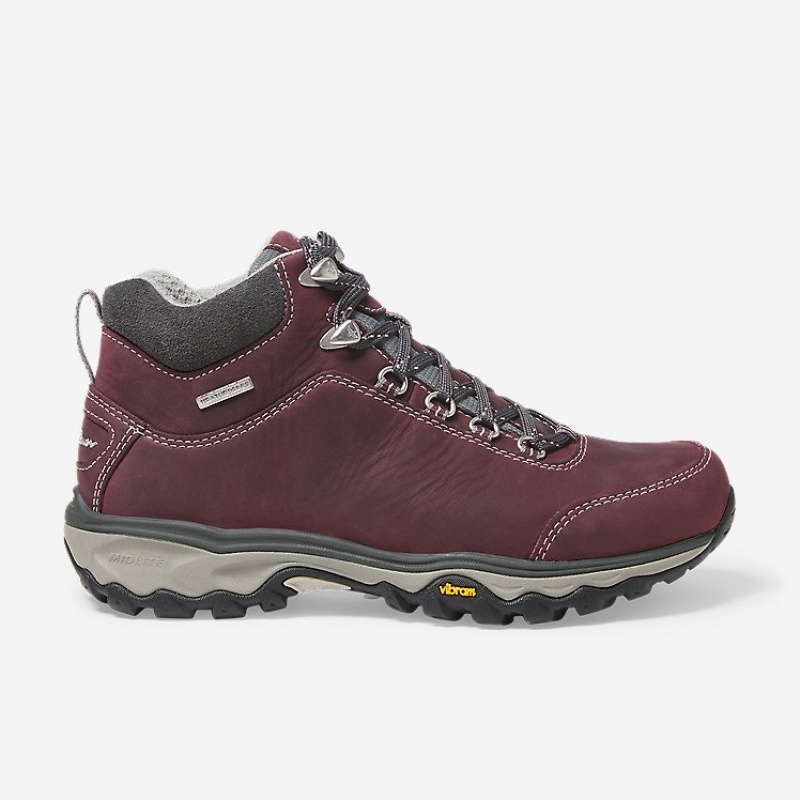 Eddie Bauer Cairn Mid Wandern Stiefel Damen Dunkellila | HEJV-02417