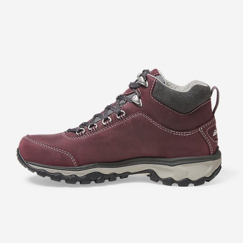 Eddie Bauer Cairn Mid Wandern Stiefel Damen Dunkellila | HEJV-02417