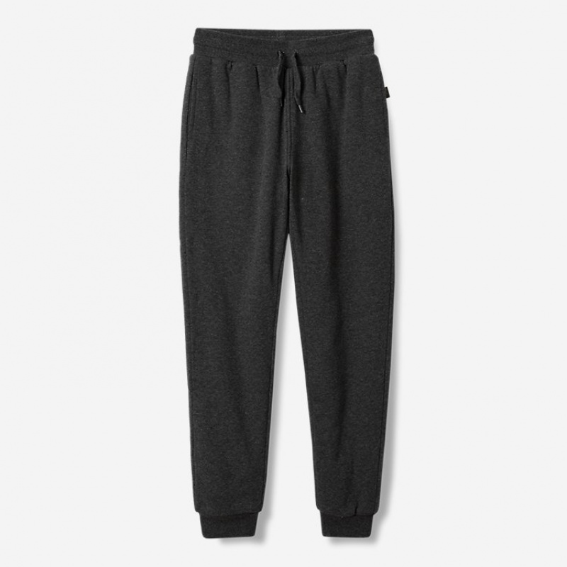 Eddie Bauer Camp Fleece Faux Shearling-Gefütterte Jogger Hose Jungen Grau | FVZH-71840