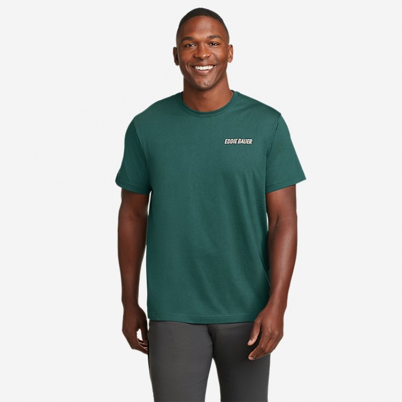 Eddie Bauer Camp Scene Graphic T-shirts Damen Grün | YWXQ-68031