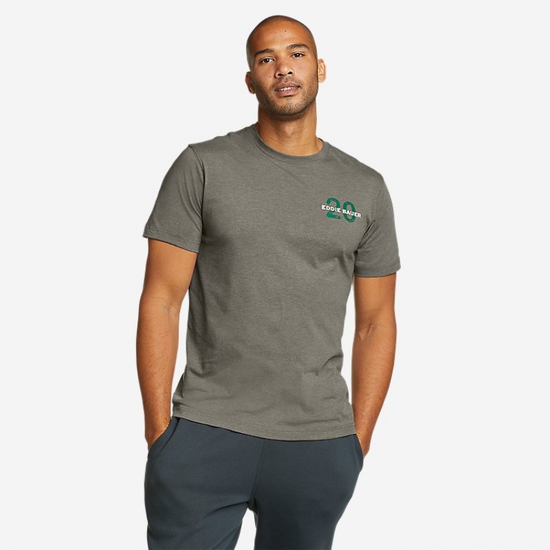 Eddie Bauer Climb And Conquer T-shirts Herren Grau | KUCZ-30475