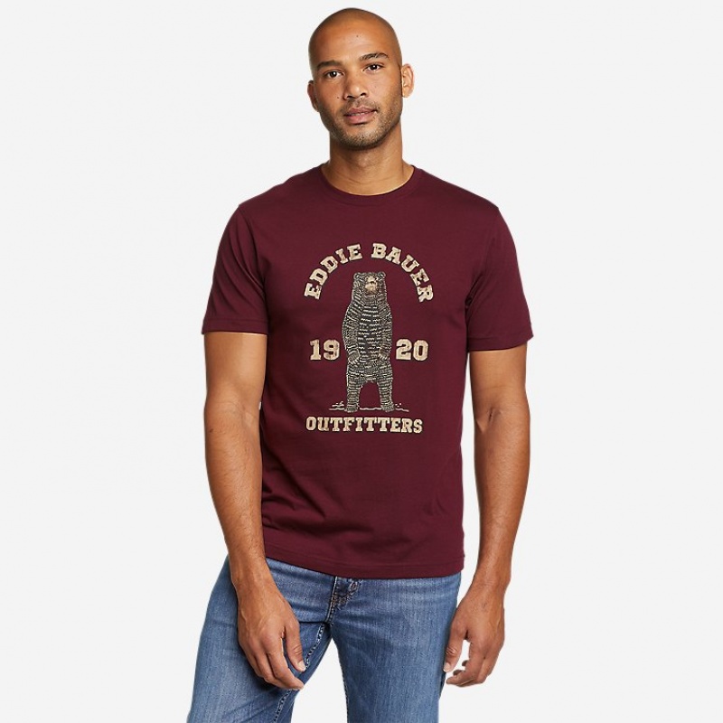 Eddie Bauer EB Academia Bear T-shirts Herren Bordeaux | TAOE-79814