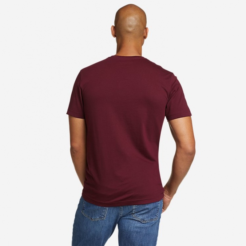 Eddie Bauer EB Academia Bear T-shirts Herren Bordeaux | TAOE-79814