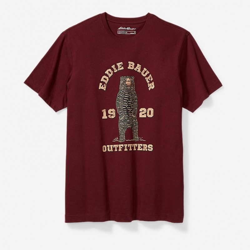 Eddie Bauer EB Academia Bear T-shirts Herren Bordeaux | TAOE-79814