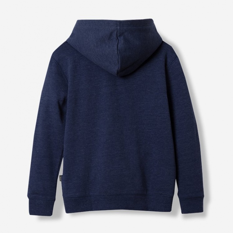 Eddie Bauer Graphic Camp Fleece Hoodie Jungen Hellnavy | RGMD-84596