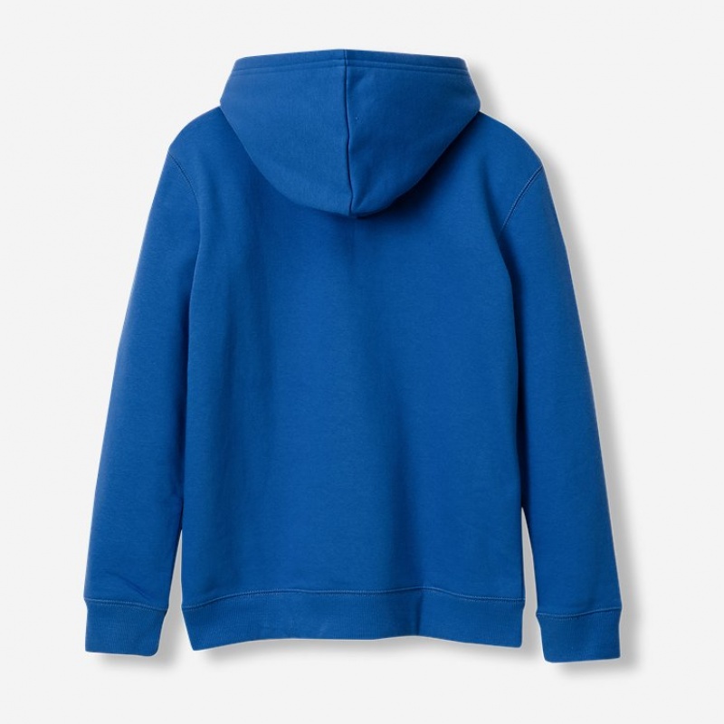 Eddie Bauer Graphic Camp Fleece Hoodie Jungen Blau | NEXY-89451