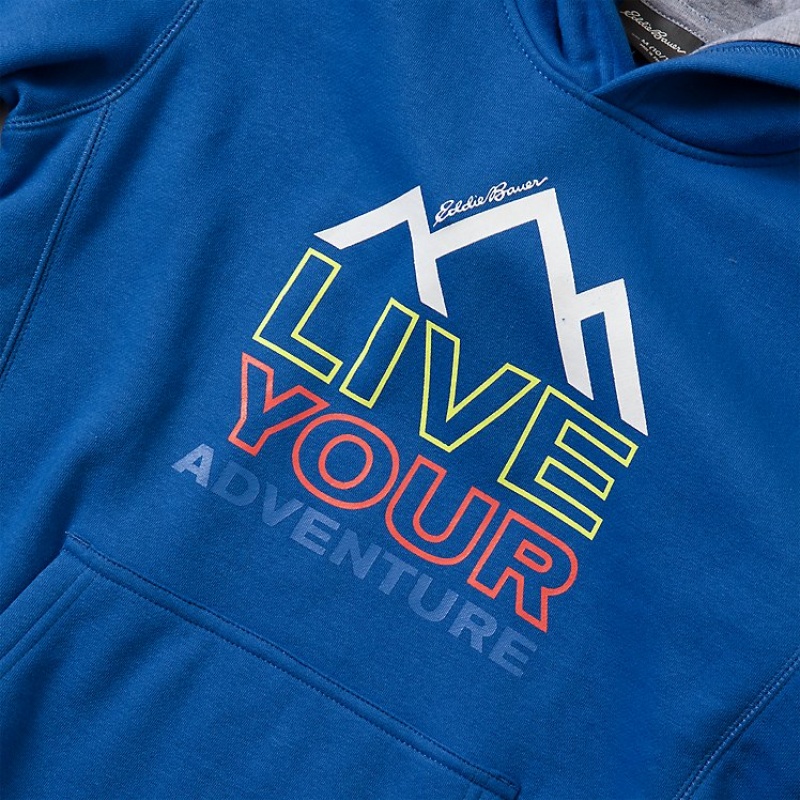 Eddie Bauer Graphic Camp Fleece Hoodie Jungen Blau | NEXY-89451