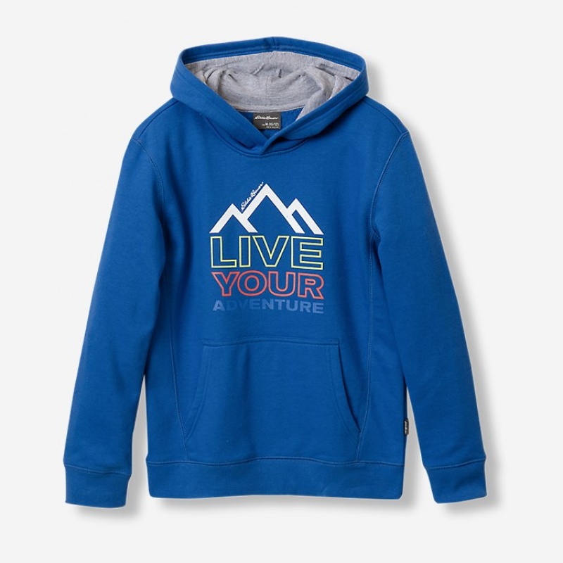 Eddie Bauer Graphic Camp Fleece Hoodie Jungen Blau | NEXY-89451