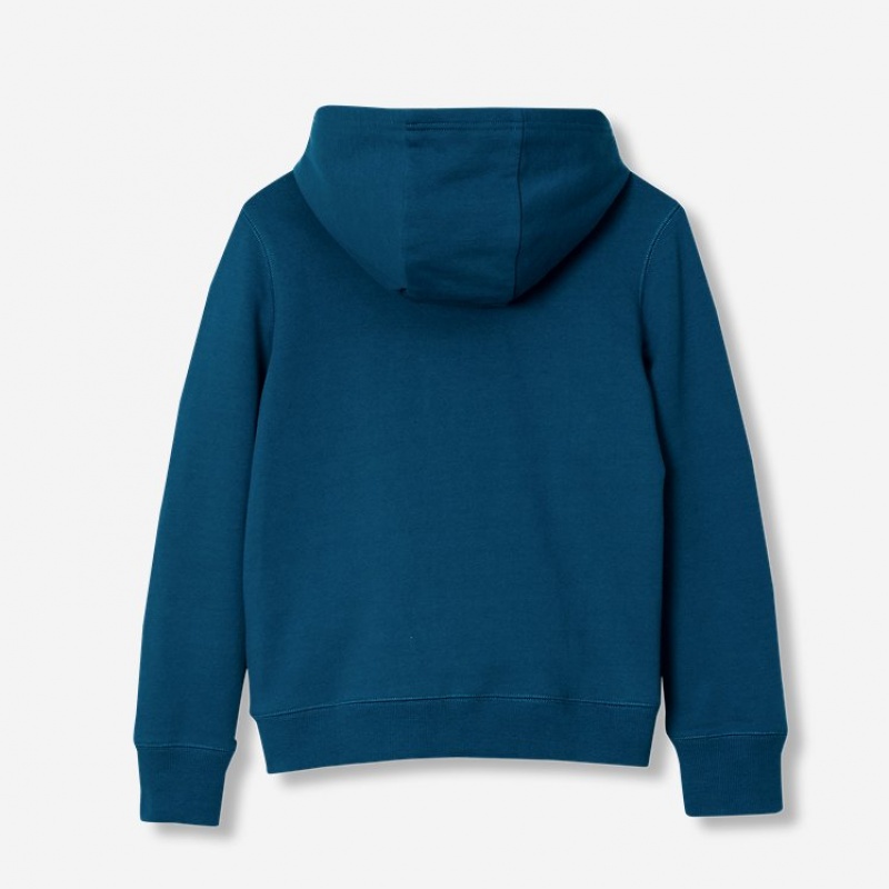 Eddie Bauer Graphic Camp Fleece Hoodie Mädchen Dunkeltürkis | IJBR-52637