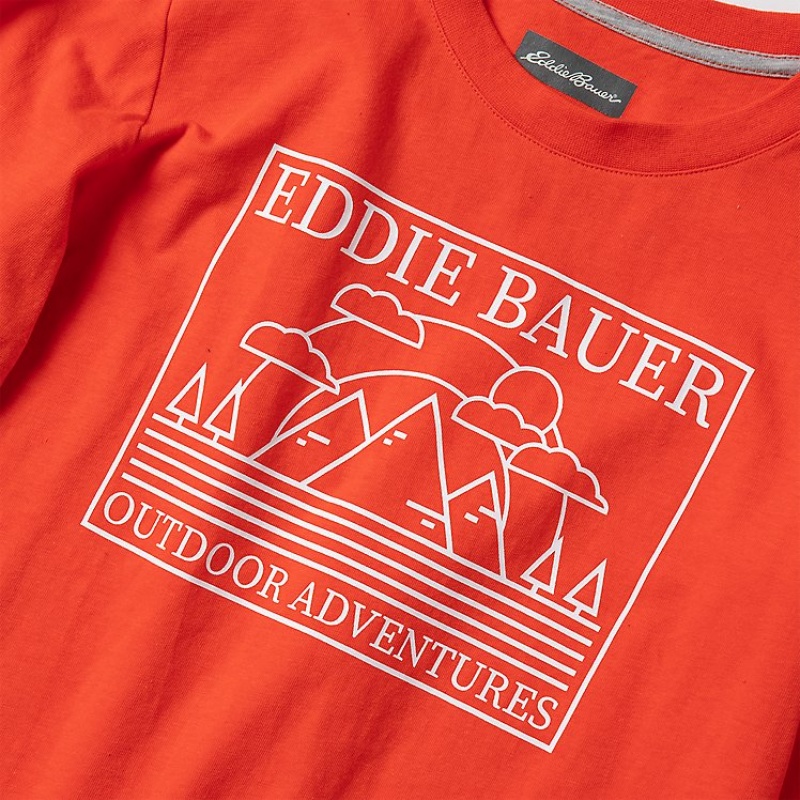 Eddie Bauer Graphic Long-Sleeve - 2 Pack T-shirts Jungen Dunkeltürkis | XBQI-92678