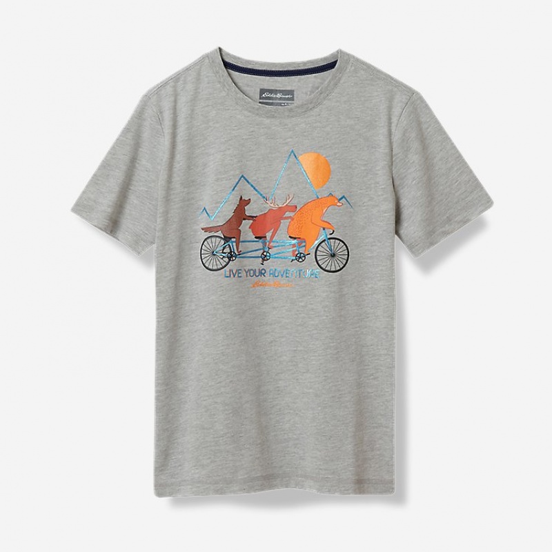 Eddie Bauer Graphic T-shirts Jungen Grau | QKHR-52319