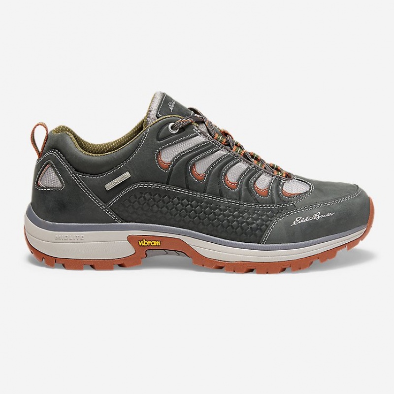 Eddie Bauer Guide Pro Hiker Freizeitschuhe Herren Grau | CSEN-95304