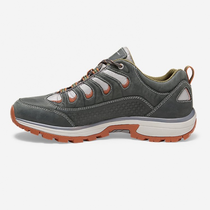 Eddie Bauer Guide Pro Hiker Freizeitschuhe Herren Grau | CSEN-95304