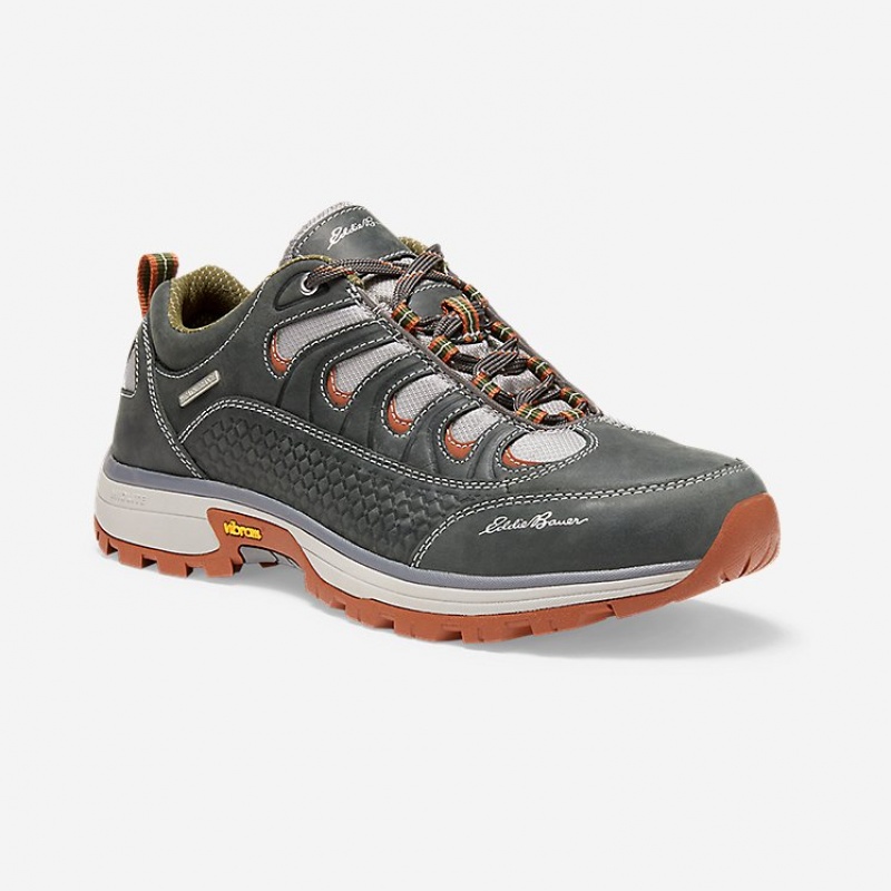 Eddie Bauer Guide Pro Hiker Freizeitschuhe Herren Grau | CSEN-95304