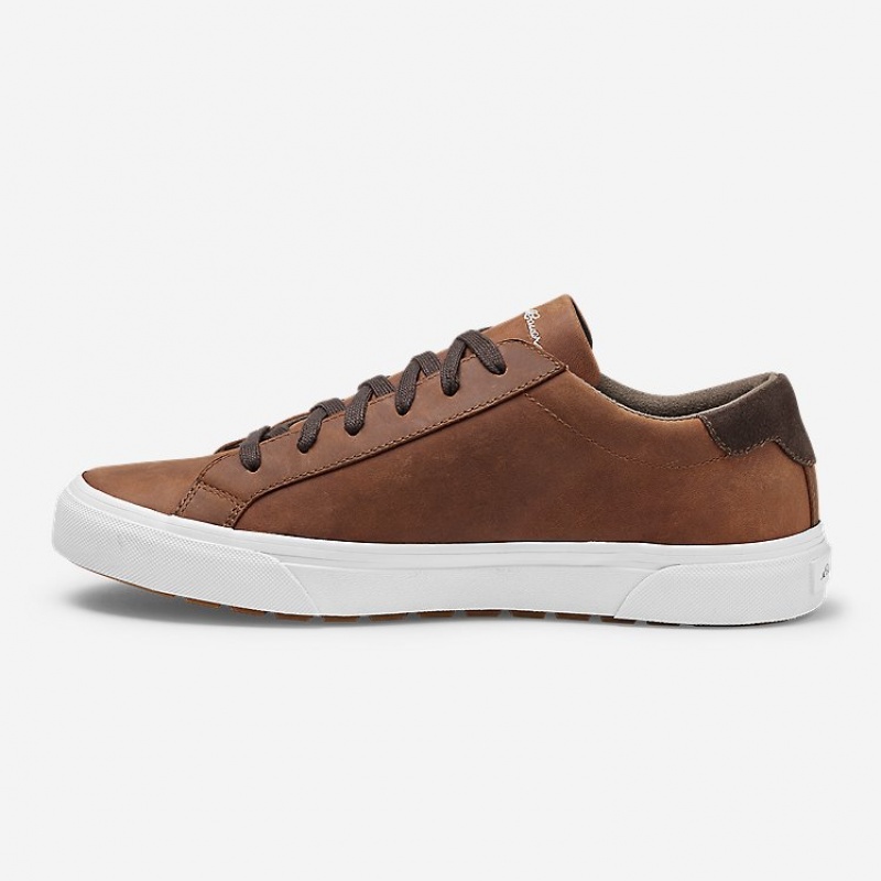 Eddie Bauer Haller Leder Sneakers Herren Braun | RKTA-39648