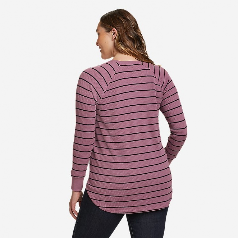 Eddie Bauer Myriad Crew Neck Thermal Tanktop Damen Lila | ZBNM-89357