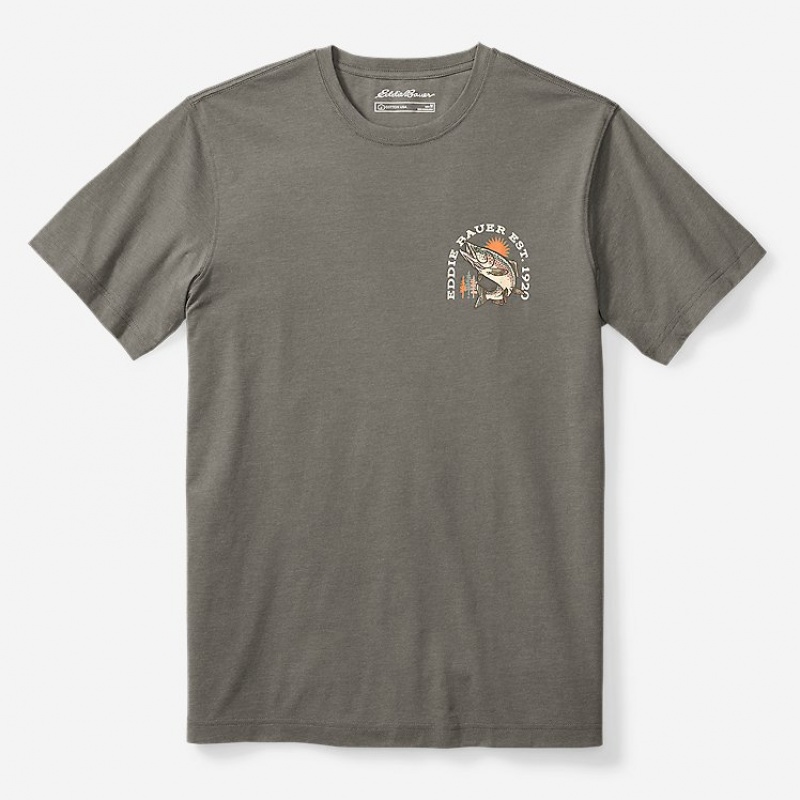 Eddie Bauer Release The Wild Graphic T-shirts Damen Grau | UCWL-23465